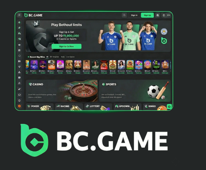 Download the BC App Your Gateway to Enhanced Digital Experience 1728229834